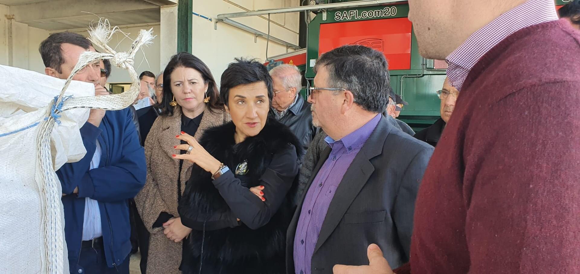 Ministra da Agricultura